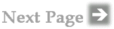 Next Page